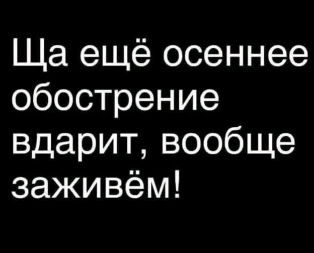 картинка e4b7ae26e4 chernyj jumor uroven cinizma zashkalivaet 7