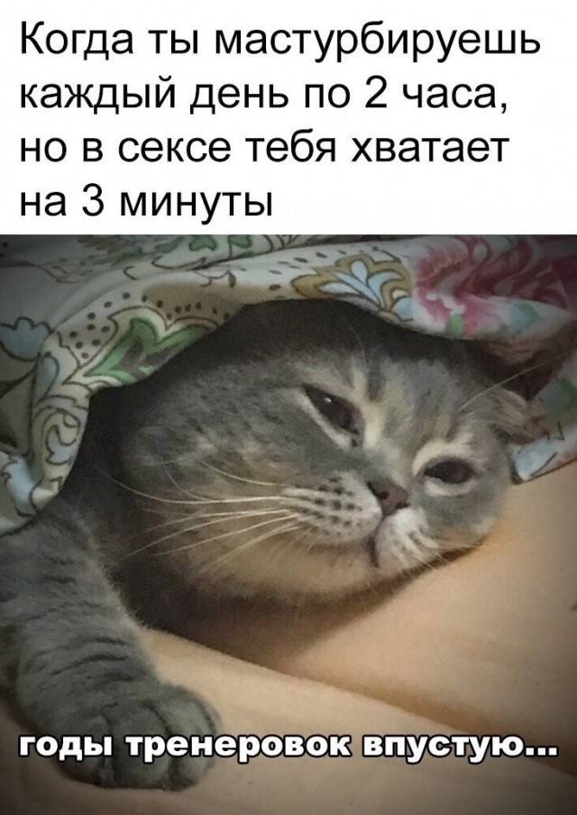 картинка e4bcbebd0d 21212218