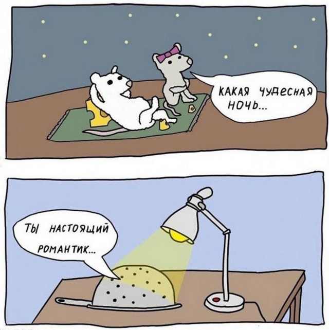 картинка e6244a9ce7 21213868