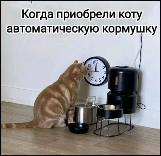 картинка e65b49748c 21236756