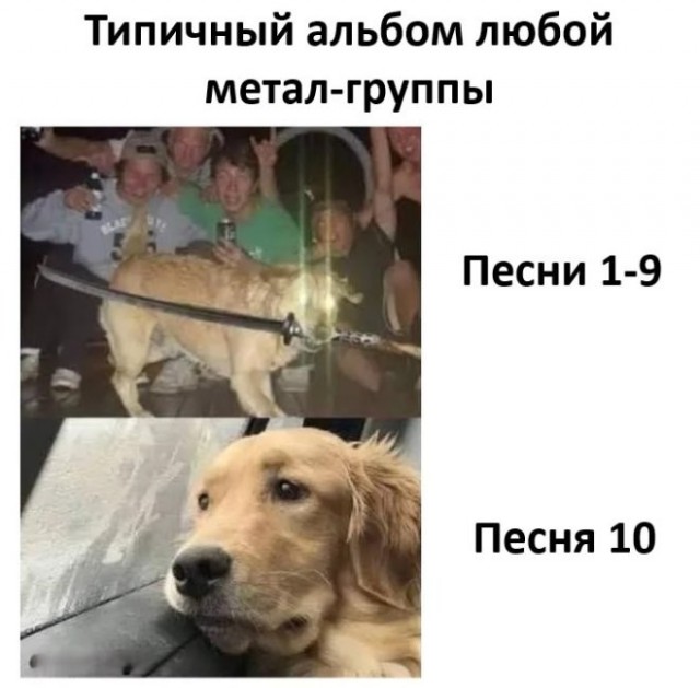 Нужна доза хорошего настроения? Мы тут подготовили подборку, после которой день станет чуточку лучше. 🚀 время, Устали, спокойнее, голос, 😄Листайте, заряжайтесь, лёгким, настроением, возвращайтесь, делам, какой, повезёт, последнее, реально, рассмешил, Поделитесь, комментариях, соберём, коллекцию, посмеяться