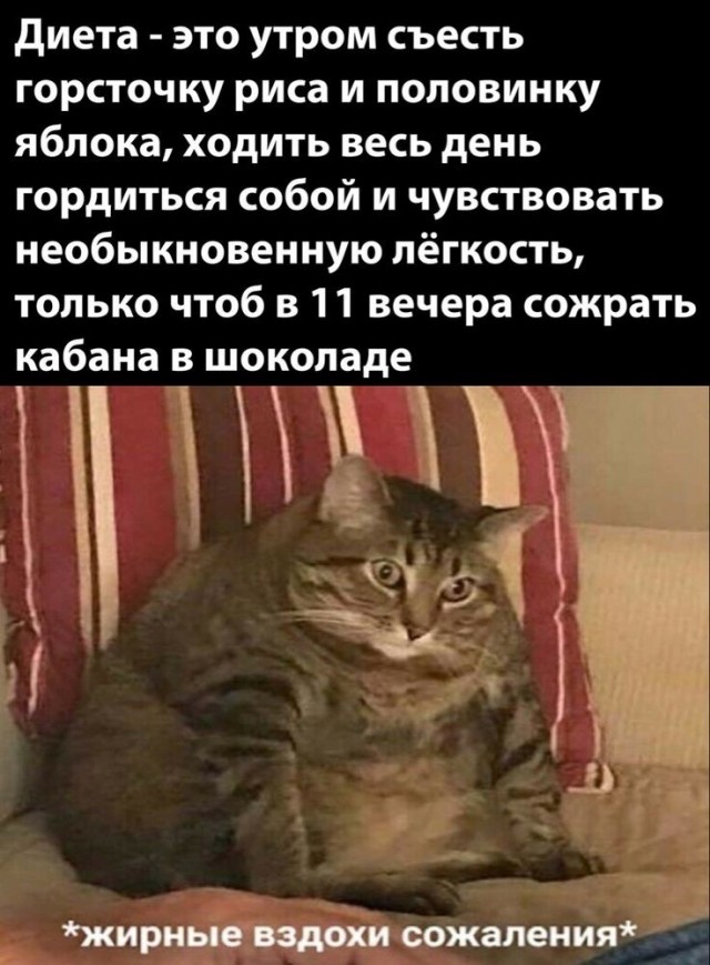 картинка e9d67d5de8 21212444