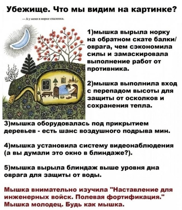 картинка e9f7f3fba5 21213391