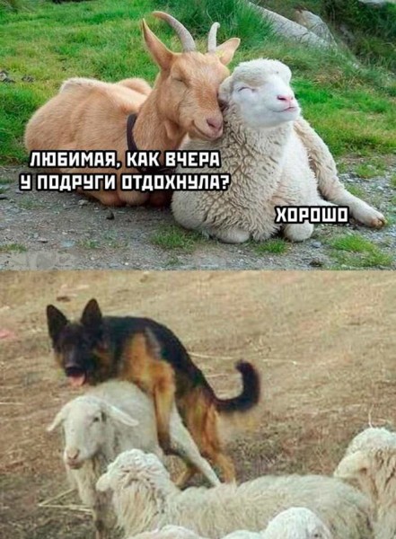 картинка eafaf18c8f snova v jefire rubrika jumor dlja teh u kogo vse v porjadke s chuvstvom samoironii 22