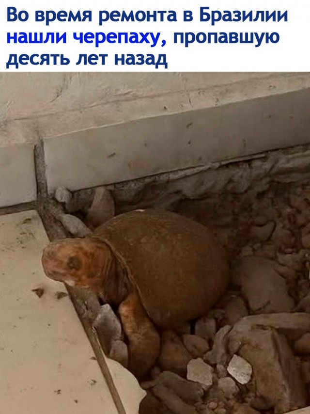 Нужна доза хорошего настроения? Мы тут подготовили подборку, после которой день станет чуточку лучше. 🚀 время, Устали, спокойнее, голос, 😄Листайте, заряжайтесь, лёгким, настроением, возвращайтесь, делам, какой, повезёт, последнее, реально, рассмешил, Поделитесь, комментариях, соберём, коллекцию, посмеяться