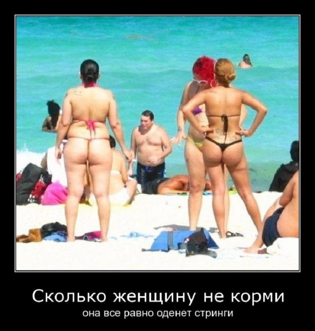 картинка ec7cb6eae6 21210982