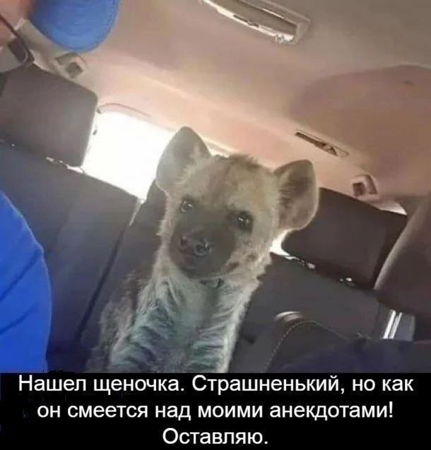 картинка ef596fb04b kogda den seryj a nastroenie nuzhno srochno podnjat nasha podborka memov 0