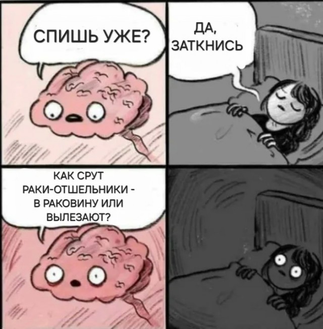картинка f068fd36ab 21213903