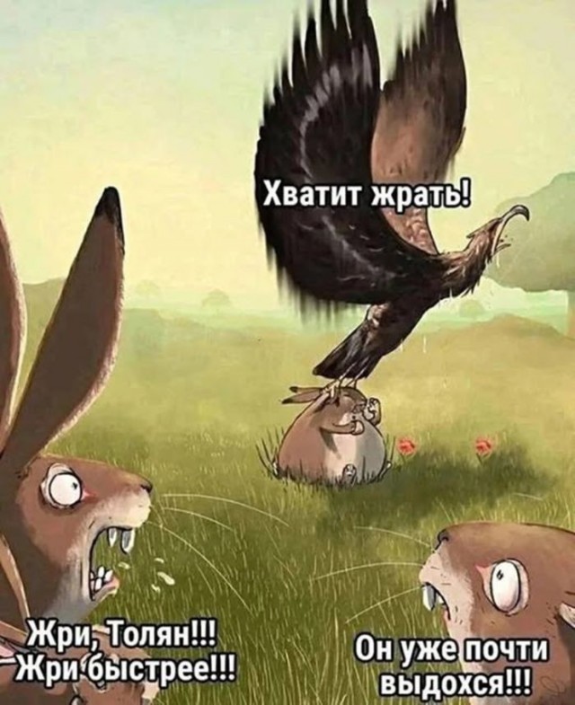 картинка f1497127c4 21256518
