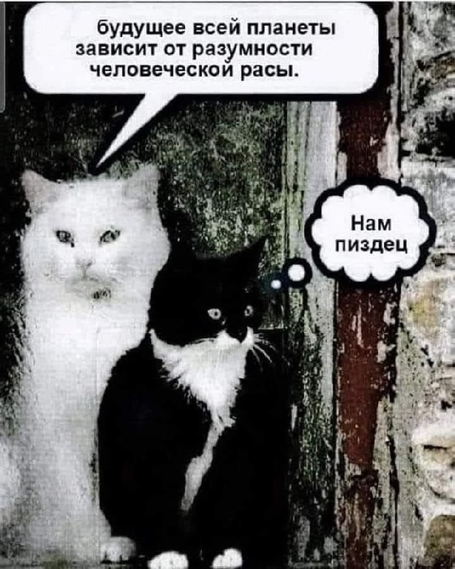 картинка f1bb9bfc89 chernyj jumor uroven cinizma zashkalivaet 22