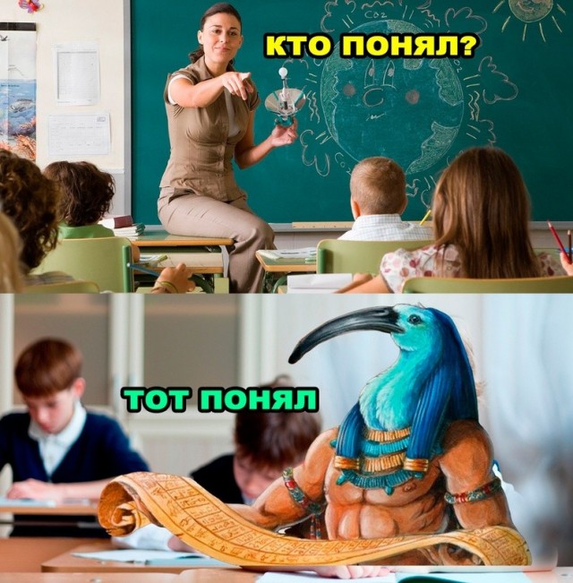 картинка f3412785ad 21267482