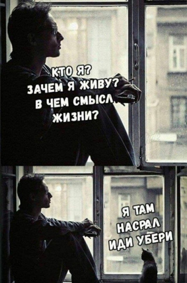 картинка f35e26c575 21243519