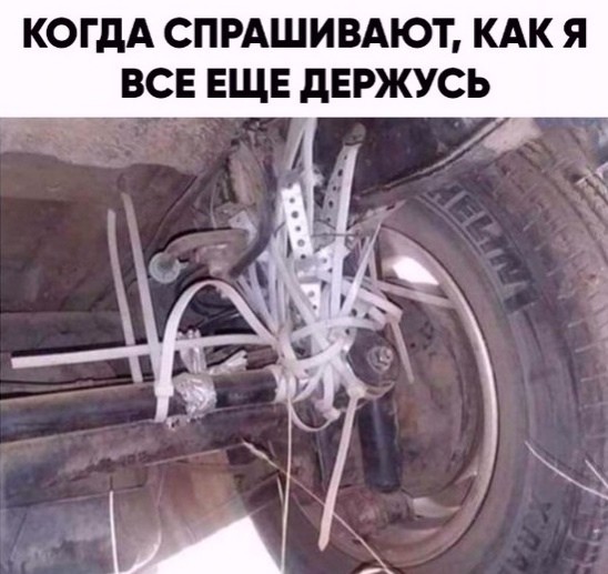 картинка f6fe892e13 21213476