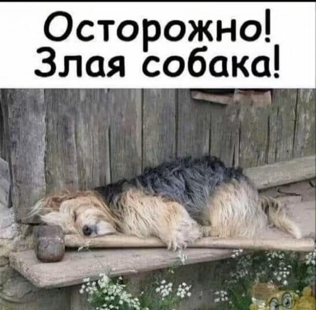 Нужна доза хорошего настроения? Мы тут подготовили подборку, после которой день станет чуточку лучше. 🚀 время, Устали, спокойнее, голос, 😄Листайте, заряжайтесь, лёгким, настроением, возвращайтесь, делам, какой, повезёт, последнее, реально, рассмешил, Поделитесь, комментариях, соберём, коллекцию, посмеяться