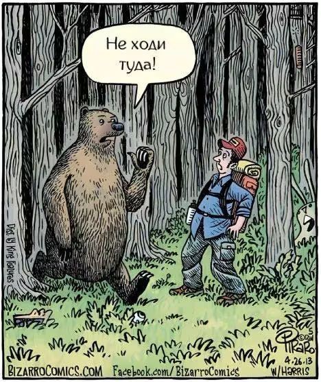 картинка f9dd5f36cc 21238353