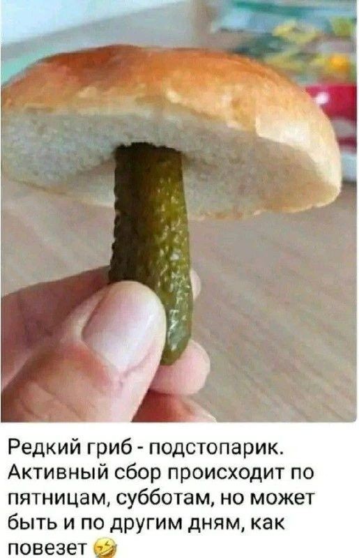 картинка fac8c50ab0 21213935
