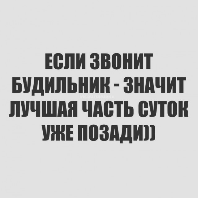 картинка faee0b4d00 21213827