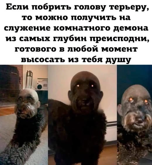 картинка fb35835174 21256693