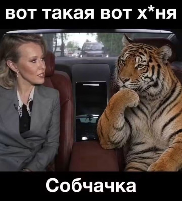картинка fe744da476 21228916