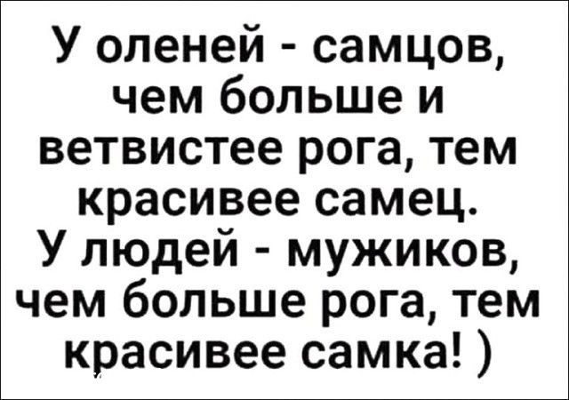 картинка fec9f78e89 21196493