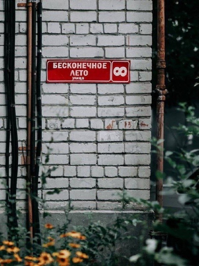 картинка fffd31c8b3 21236766