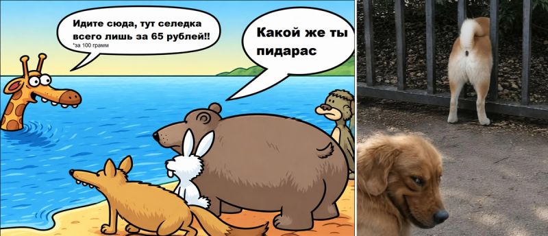 ⚡️ Середина недели? Самое время сделать паузу на 5 минут и просто посмеяться!