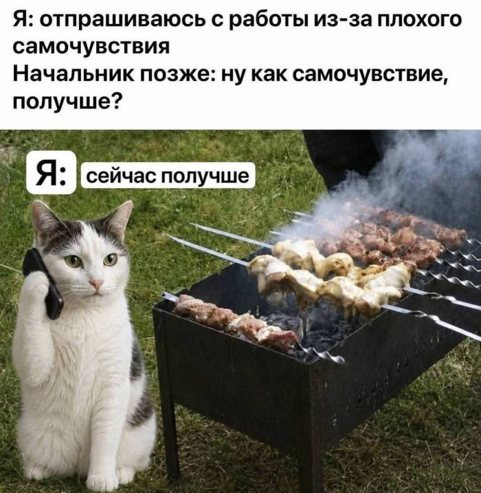 картинка 05d155d256 den navalilsja delami nazhmi na pauzu hotja by na minutu 7