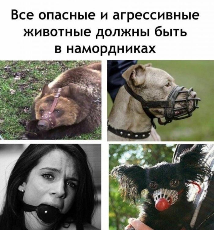 картинка 078d67531d smejatsja nelzja no ochen hochetsja nasha podborka chernogo jumora 12