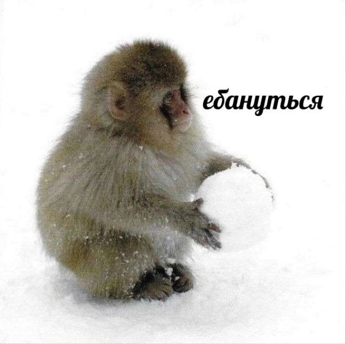 картинка 0a35404dc4 vremja dlja porcii horoshego nastroenija 2