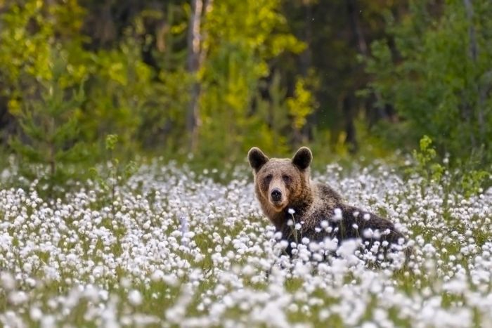 картинка 1078145e08 pjatnichnaja razrjadka memy i foto kotorye pojmet kazhdyj 3