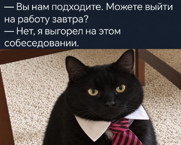 картинка 13b83ecc0b srochno nuzhno podnjat nastroenie my uzhe vse podgotovili 24
