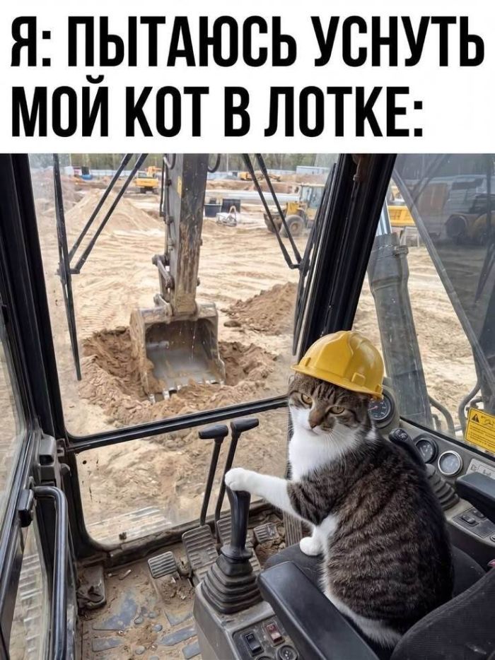 картинка 14f8932358 memy kotorye razgonjajut tuchi dazhe v samyj seryj den 15