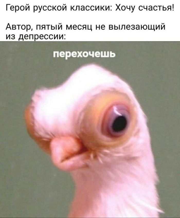 картинка 151f9c9b88 ostorozhno uroven cinizma zashkalivaet 27