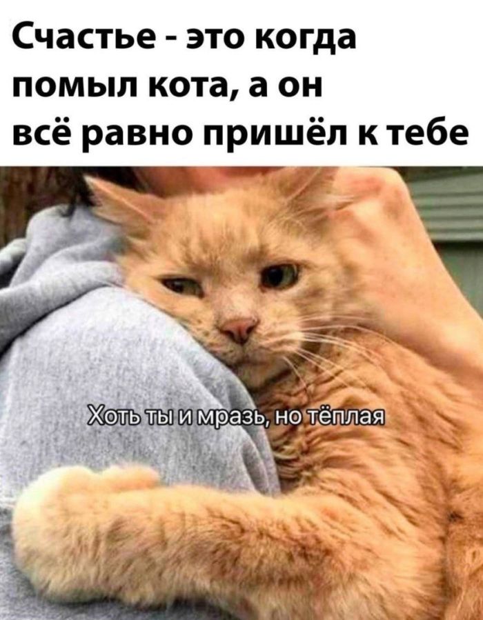 картинка 164a34f001 zarjazhaemsja na pozitiv svezhaja porcija memov i zhiznennyh prikolov kotorye sdelajut vash den 8