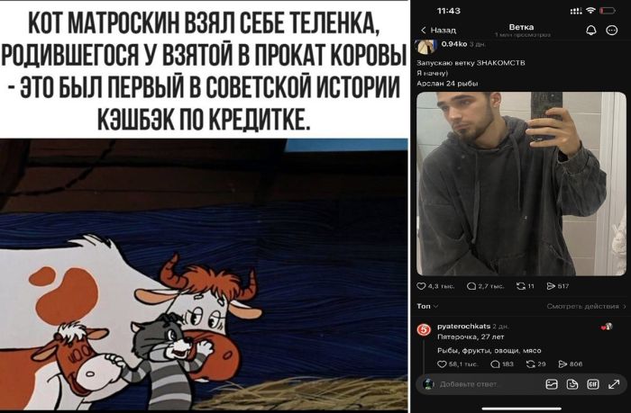 Ваша доза хорошего настроения на сегодня! ✨