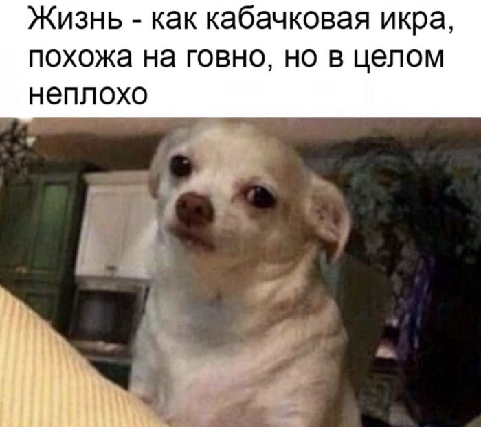 картинка 1ff2145068 hvatit grustit zarjazhaemsja porciej otbornogo jumora iz seti 3