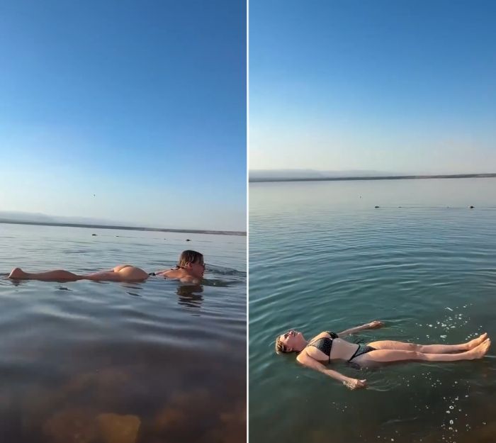 Водомерка