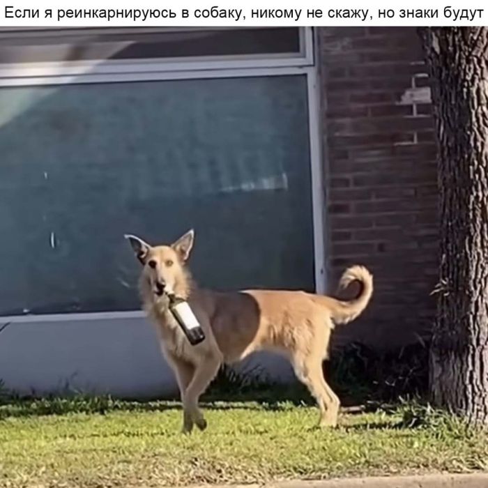 картинка 2bca706d29 vnimanie prosmotr jetoj podborki mozhet stoit vam mesta v raju 6