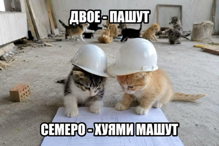 Ну что, пришло время для пятиминутки смеха! 🤡