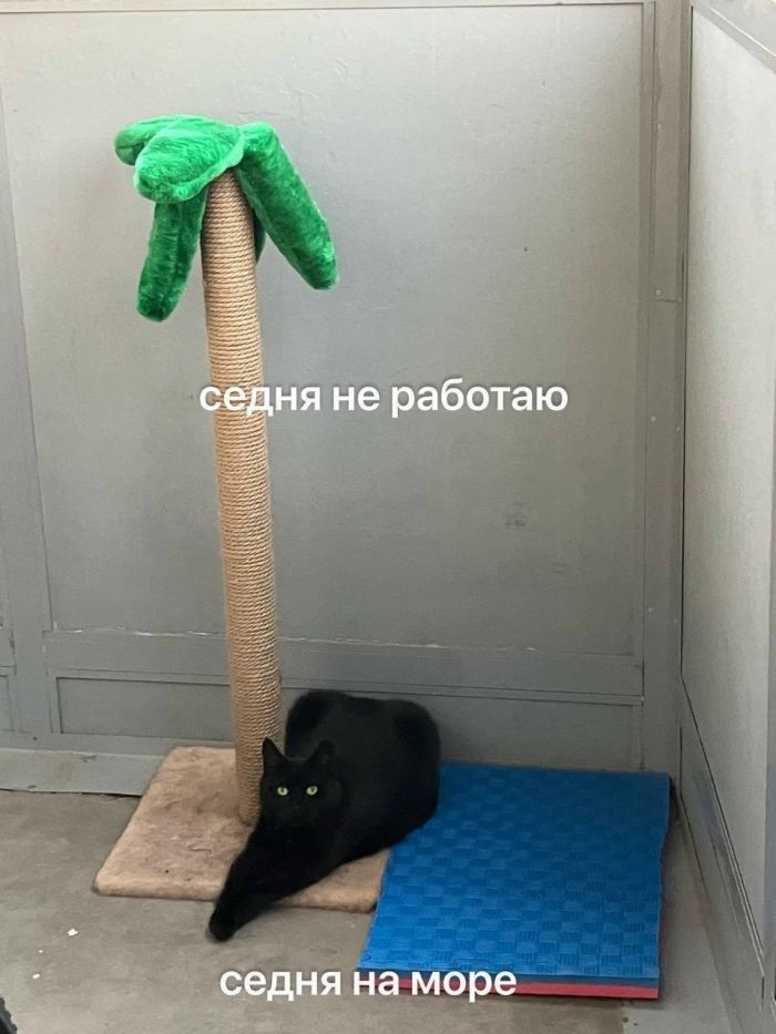 картинка 324ab1419f sreda vremja podnjat sebe nastroenie 4