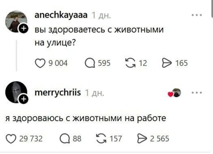 картинка 343eeba06e ostorozhno uroven poshlosti zashkalivaet 4