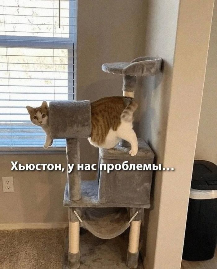 картинка 3533749a4c ulybnis pjatnica prishla memy i shutki dlja perezagruzki 9