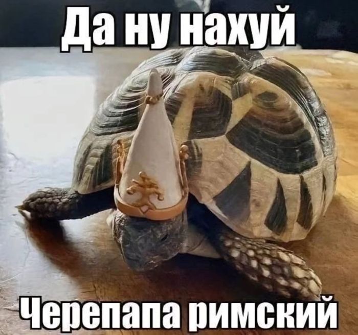 картинка 3c08316386 ostorozhno uroven cinizma zashkalivaet podborka chernogo jumora dlja teh u kogo net tormozov 37