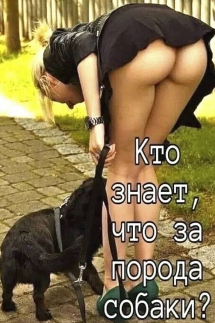 Забудь про приличия: подборка юмора «на грани», чтобы поржать от души!