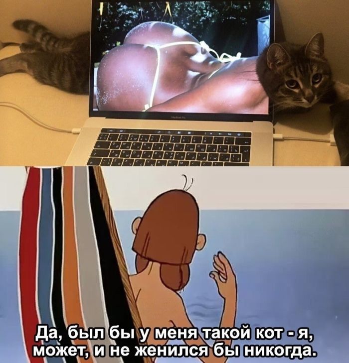 картинка 400b363602 srochno nuzhno podnjat nastroenie my uzhe vse podgotovili 1