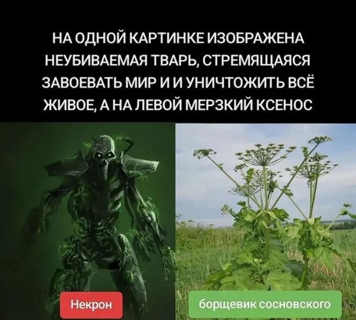 картинка 4499659414 vnimanie prosmotr jetoj podborki mozhet stoit vam mesta v raju 10