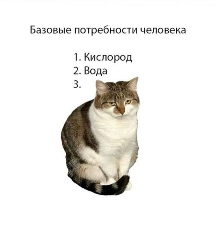 картинка 45458fc3fe vnimanie prosmotr jetoj podborki mozhet stoit vam mesta v raju 15