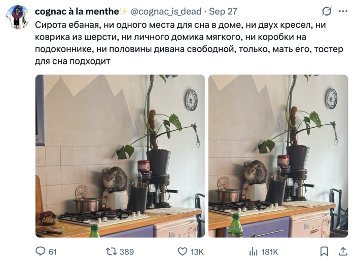 картинка 48bea43b0f vremja dlja porcii horoshego nastroenija 8