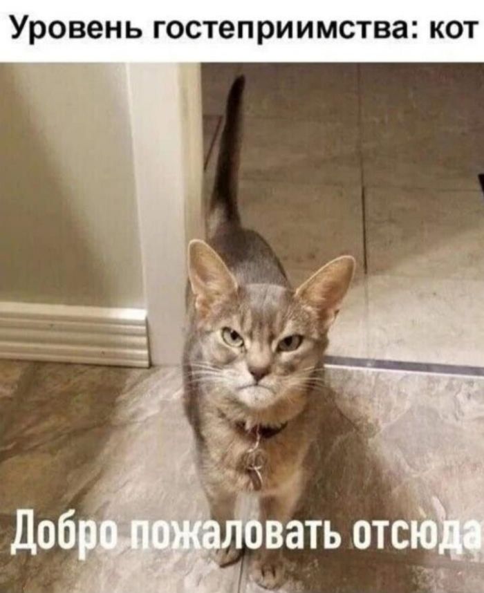 картинка 4a2698554c 000000000