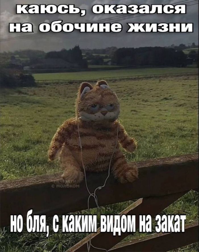 картинка 4ee4952d1d vasha doza horoshego nastroenija na segodnja 7